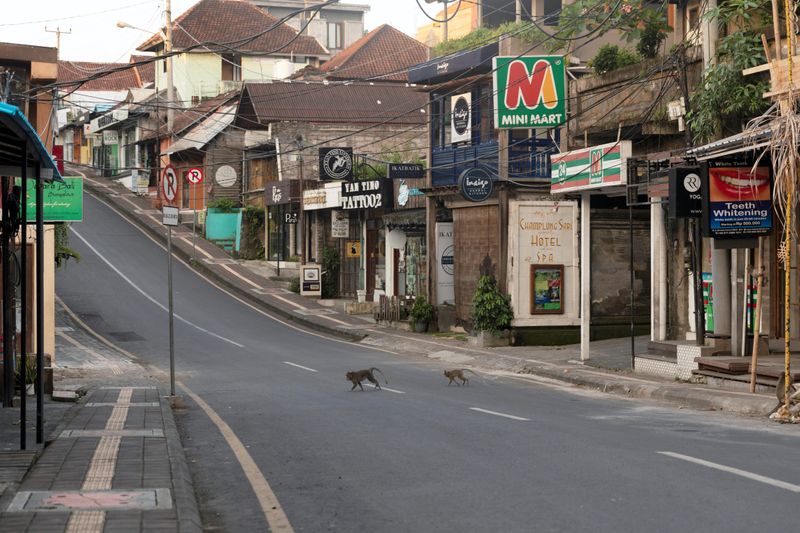 &copy; Reuters. Monkeys cross an empty road amid the spread of coronavirus disease (COVID-19) in Ubud, Bali