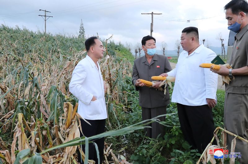 &copy; Reuters. North Korean leader Kim Jong Un inspects the typhoon-damaged area in South Hwanghae Province