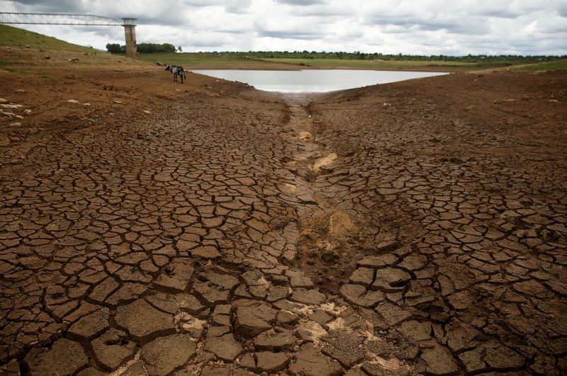 &copy; Reuters. FILE PHOTO: Caked mud is seen before a small patch of water during a prolonged drought at a dam near Bulawayo