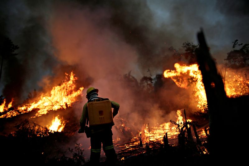 &copy; Reuters. Bombeiro do Ibama tenta controlar incêndio em trecho da floresta amazônica em Apuí, Amazonas