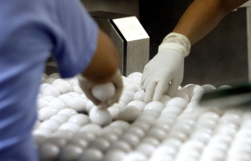 &copy; Reuters. FILE PHOTO: Workers sort eggs after pasteurization at the National Pasteurized Eggs plant in Lansing