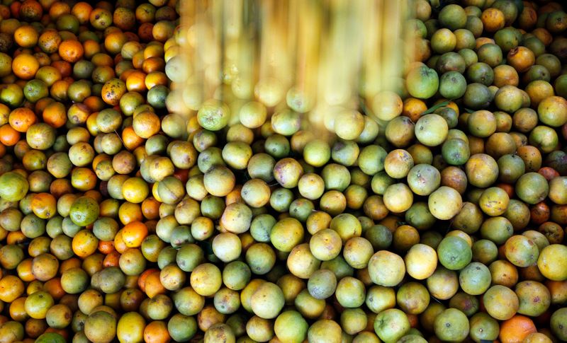 © Reuters. Laranjas são carregadas em Limeira