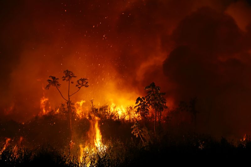 &copy; Reuters. Fumaça e chamas de queimada no Pantanal, em Poconé, no Mato Grosso