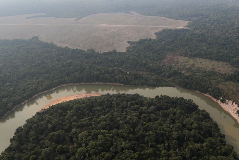 &copy; Reuters. An aerial view shows a river and a deforested plot of the Amazon near Porto Velho