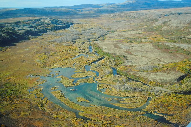 © Reuters. FILE PHOTO: Handout photo of a view of the Upper Tularik Floodplain in the Bristol Bay watershed in Alaska