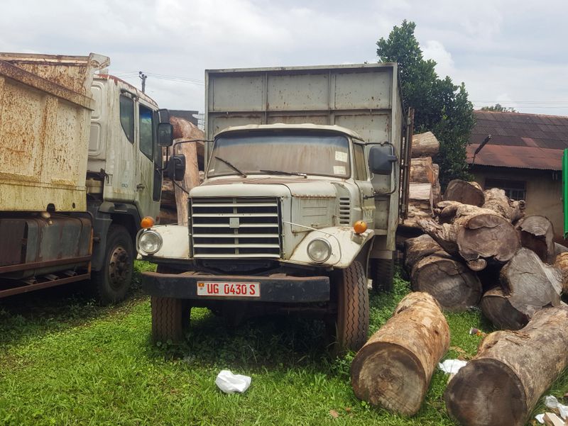 &copy; Reuters. Uganda slowly increases forest cover by tapping private companies