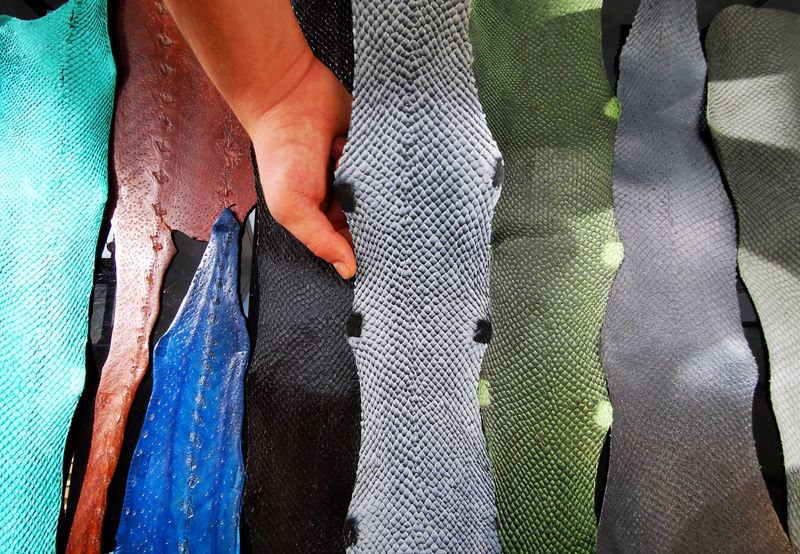 &copy; Reuters. French company turns throwaway salmon skin into leather
