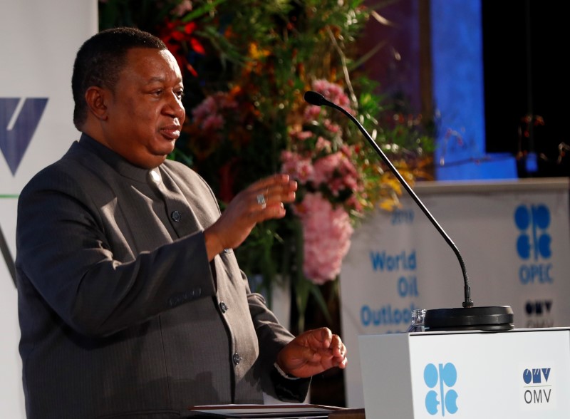 &copy; Reuters. FILE PHOTO: OPEC Secretary General Barkindo delivers his speech in Vienna