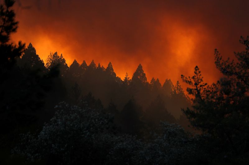 &copy; Reuters. حريق غابات يجبر السلطات على إخلاء مستشفى ومئات المنازل في شمال ولاية كاليفورنيا الأمريكية
