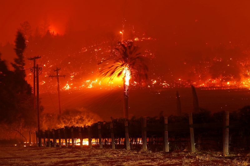 &copy; Reuters. 米ワイン産地ナパバレーでも山火事拡大、数千人に避難命令