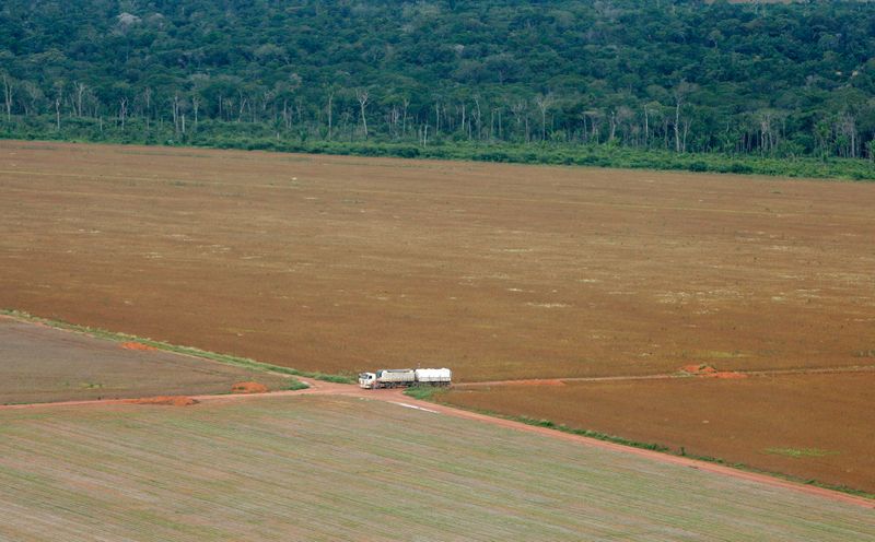 © Reuters. Fronteira entre área de cultivo de soja e a floresta amazônica em Mato Grosso