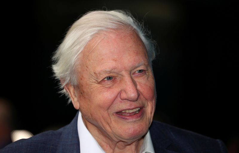 &copy; Reuters. FILE PHOTO: Broadcaster and film maker David Attenborough attends the premiere of Blue Planet II at the British Film Institute in London