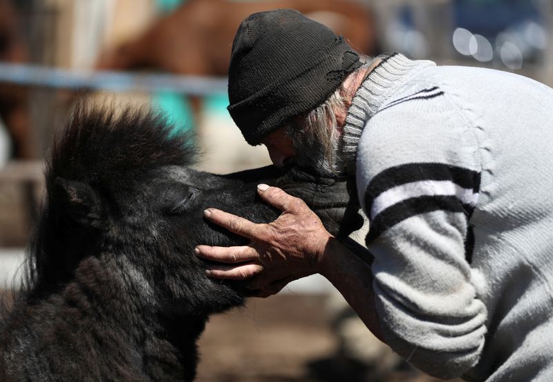 &copy; Reuters. Walter Carbone, a carer member of APRE (Equine Rescue Protection Association) kisses Peque, a mistreated horse rescued by the association, at their refuge, in Lanus, on the outskirts of Buenos Aires