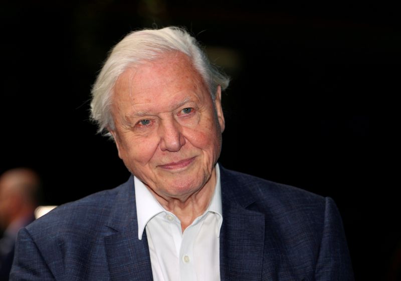 &copy; Reuters. FILE PHOTO: FILE PHOTO: Broadcaster and film maker David Attenborough attends the premiere of Blue Planet II at the British Film Institute in London