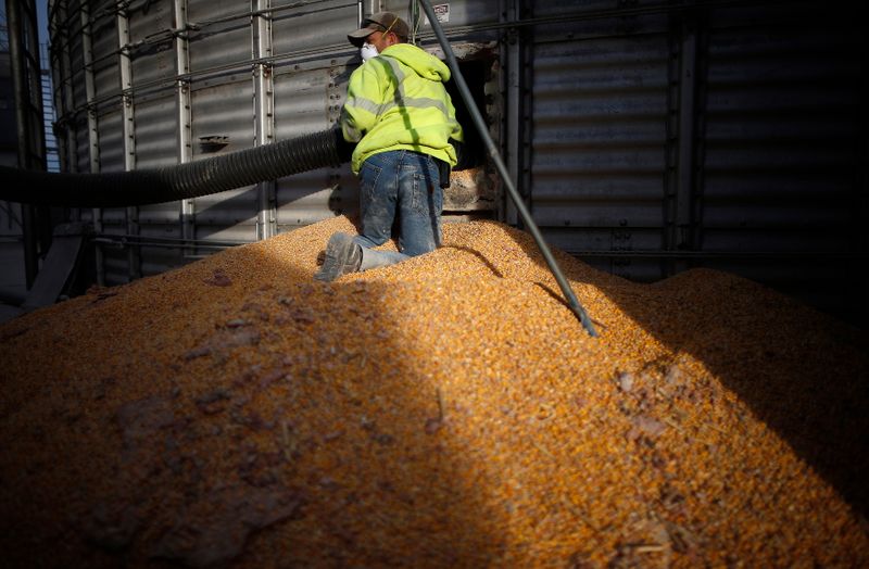 © Reuters. Silo para armazenamento de milho em Minooka, Illinois (EUA)