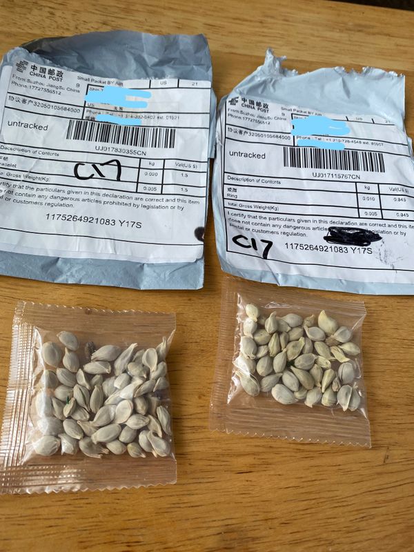 © Reuters. Em meados deste ano, cidadãos dos EUA também receberam pacotes da Ásia com sementes não solicitadas