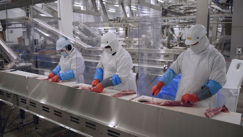 &copy; Reuters. Olymel employees work in one of the companyÕs Quebec hog-slaughtering plants