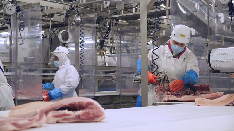 © Reuters. Olymel employees work in one of the companyÕs Quebec hog-slaughtering plants