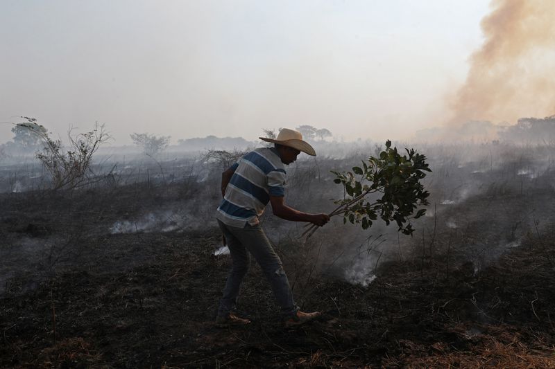 &copy; Reuters. FOTO DE ARCHIVO: Dorvalino Conceicao Camargo, de 56 años y quien trabaja en un rancho, intentando apagar un incendio con una rama en Pantanal, el mayor humedal del mundo