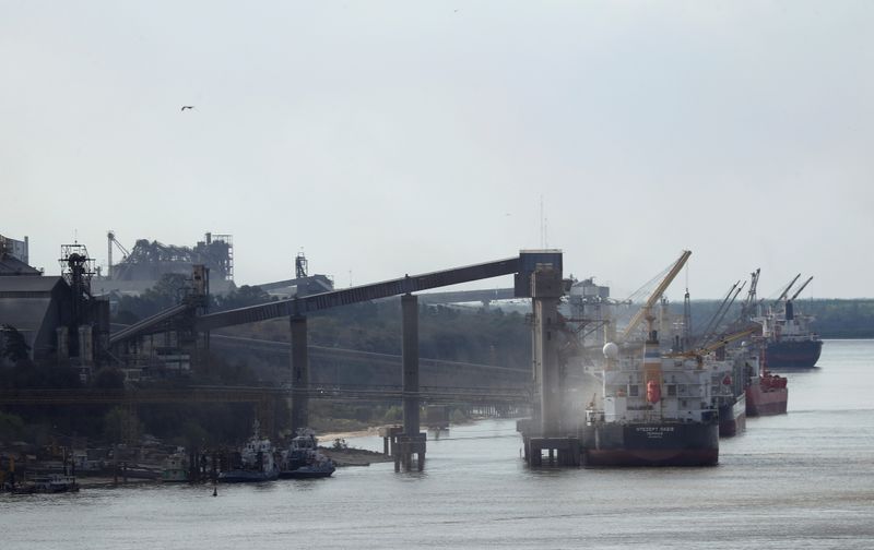 © Reuters. Navio carregado com grãos no porto de Rosario, Argentina