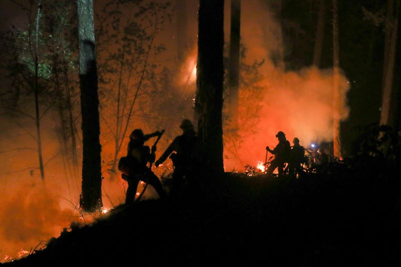 © Reuters. Firefighters battle the Glass Fire as it encroaches towards a residence in Calistoga, California