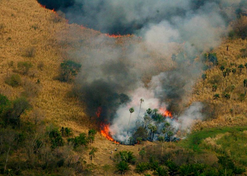 © Reuters. Incêndio na província de San Pedro, Paraguai