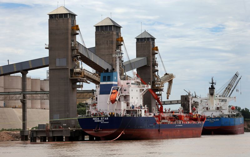 © Reuters. Navio carregado com grãos para exportação no porto de Rosario, Argentina