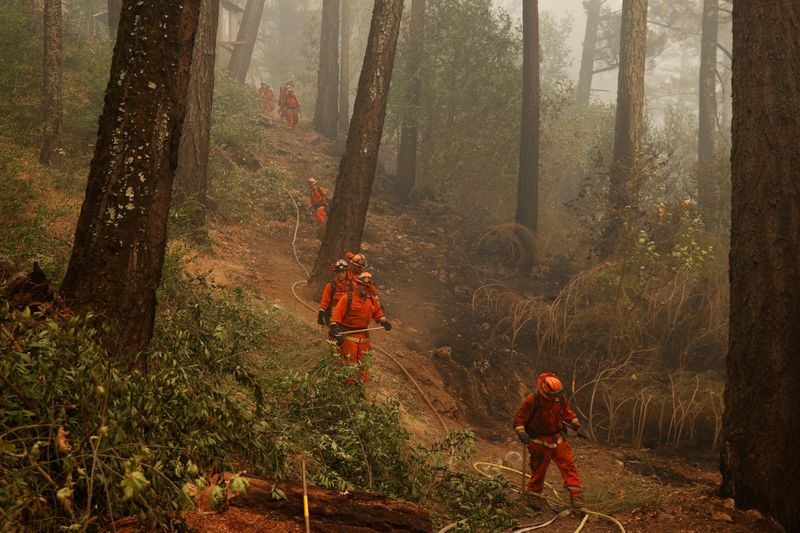 © Reuters. The Glass Fire burns in Calistoga