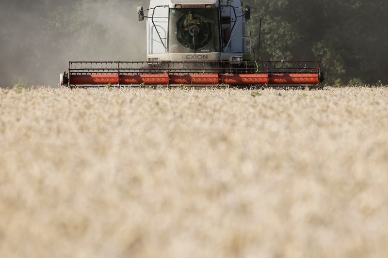 &copy; Reuters. An employee operates a combine as he harvests wheat in a field in Kyiv region