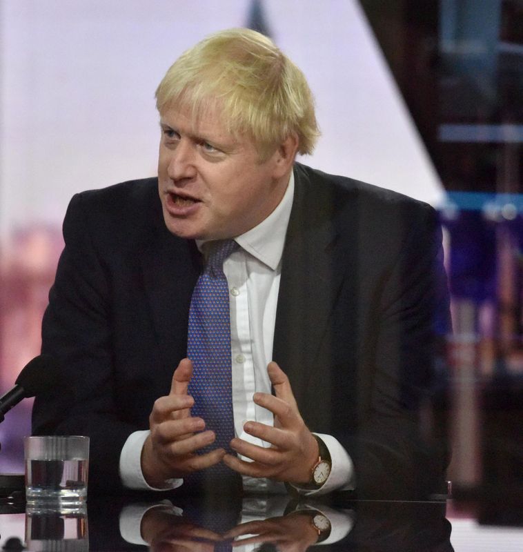 &copy; Reuters. Britain&apos;s PM Johnson appears on The Andrew Marr Show in London