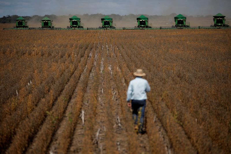 &copy; Reuters. Máquinas durante colheita de grãos no Brasil