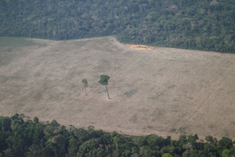 &copy; Reuters. Vista aérea de área desmatada da floresta amazônica no Estado de Rondônia