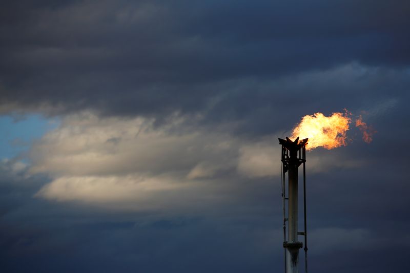 &copy; Reuters. FILE PHOTO:  A flare burns off excess gas from a gas plant in the Permian Basin in Loving County