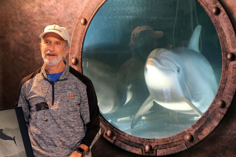 Â© Reuters. Robot dolphin could signal end of captive animals