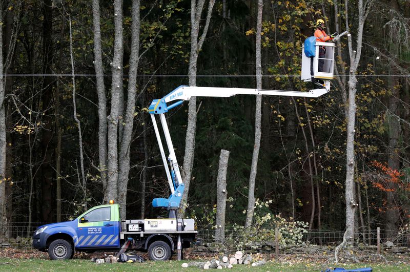 &copy; Reuters. A workman using a chainsaw to cut branches from trees near power cables in Logierait Scotland