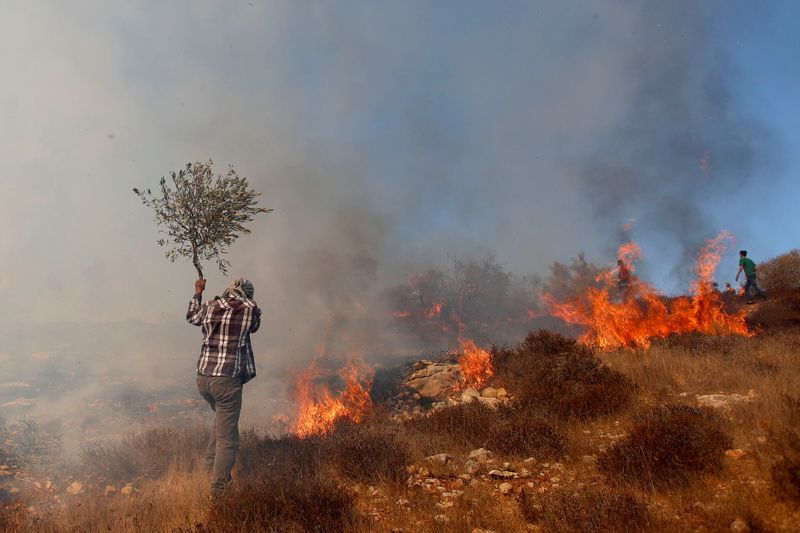 &copy; Reuters. مسؤول فلسطيني: الجيش الإسرائيلي أطلق قنابل صوت أحرقت أشجار الزيتون