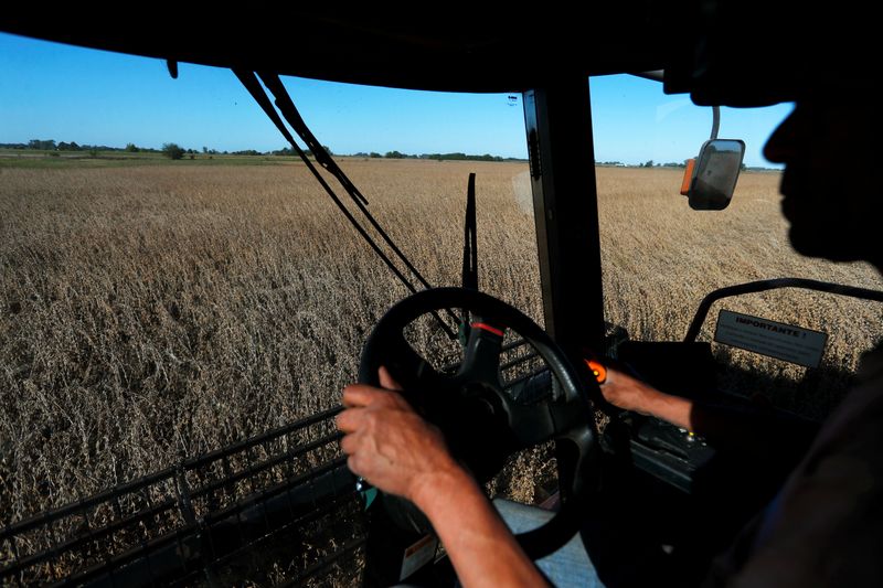 &copy; Reuters. Colheita de trigo na região de Buenos Aires