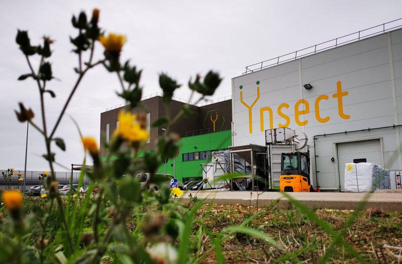 &copy; Reuters. French start-up Ynsect plans to build world&apos;s biggest bug farm