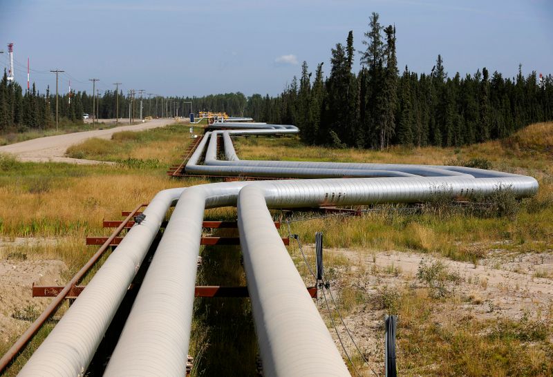&copy; Reuters. Pipelines carrying steam to well heads and heavy oil back to the processing plant line the roads at the Cenovus Energy Christina Lake SAGD project south of Fort McMurray