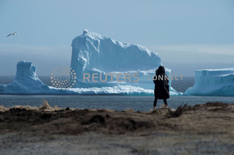 © Reuters. Resident views the first iceberg of the season as it passes the South Shore of Newfoundland