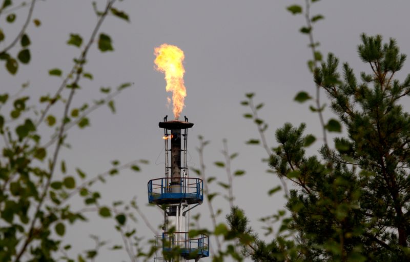 &copy; Reuters. A flame burning natural gas is seen at an oil refinery located on a branch of the Druzhba oil pipeline, which moves crude through the pipeline westwards to Europe, near Mozyr
