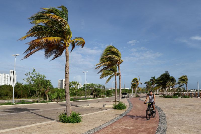 © Reuters. FILE PHOTO: A man rides his bicycle while palm trees sway in the wind as Hurricane Zeta approaches Cancun