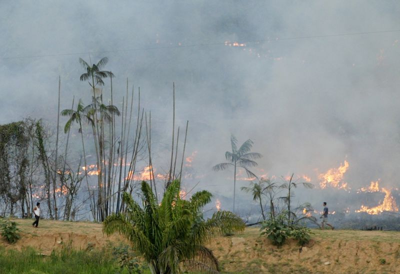 &copy; Reuters. FILE PHOTO: BRAZILIAN FARMERS BURN FOREST FOR FARMING IN THE AMAZON BASIN.