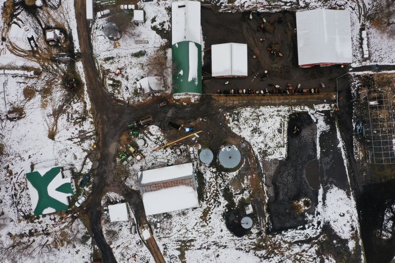 © Reuters. Derrydale Farm in Belle Plaine, Minnesota as Biden campaign pushes for rural voters