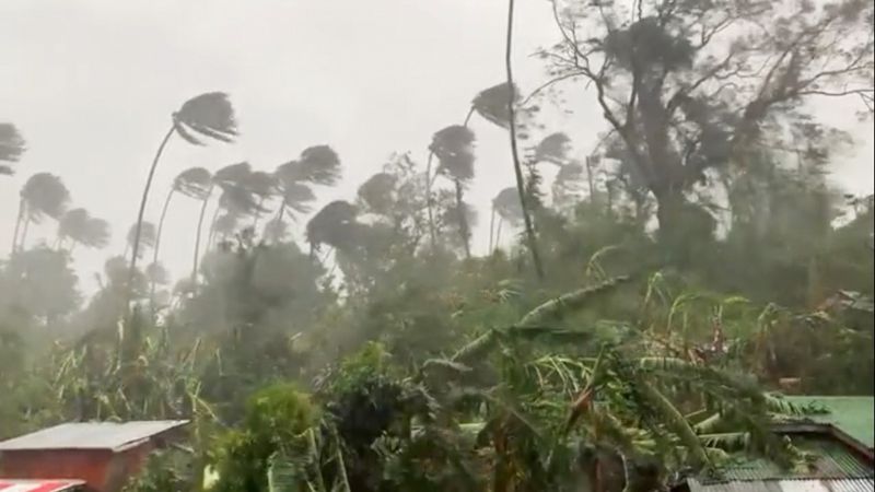 © Reuters. Fuertes lluvias caen sobre una zona selvática de Mindoro Oriental, Filpinas.