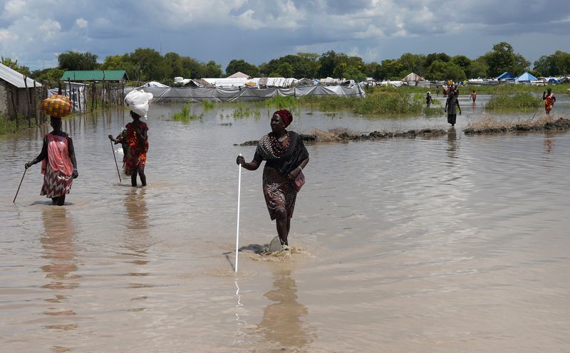 &copy; Reuters. مزارعو جنوب السودان يسارعون لزراعة محاصيل جديدة بعد أمطار غزيرة