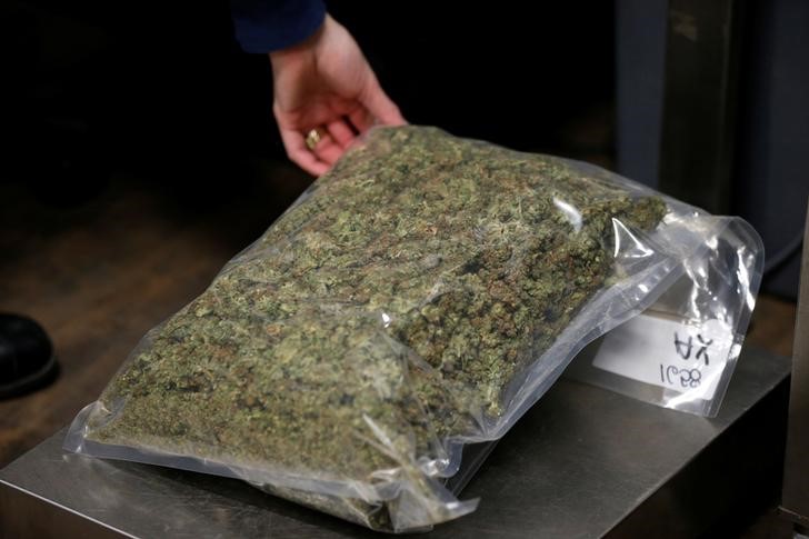 © Reuters. FILE PHOTO: A worker weighs a package of dried marijuana at the Canopy Growth Corporation facility in Smiths Falls