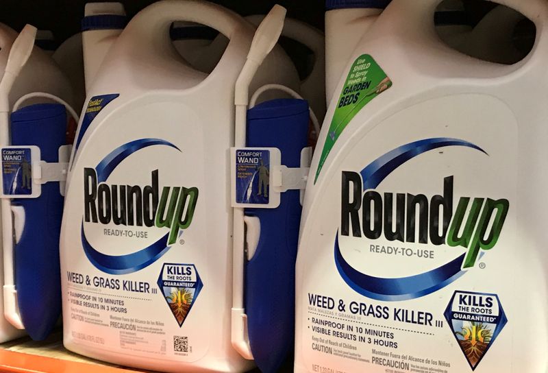&copy; Reuters. FILE PHOTO: Monsanto Co&apos;s Roundup shown for sale in California