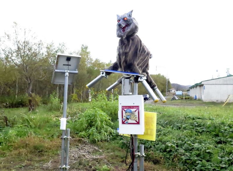 &copy; Reuters. Cidade do Japão usa robô &quot;Lobo Mostruoso&quot; para deter ursos selvagens