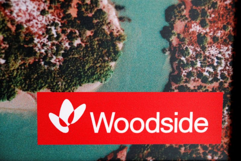 Sour China-Australia ties hit talks over LNG deal, says Woodside